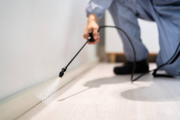 Licensed Cockroach Control service in Ben Hill County County, GA - Nex Pest Control